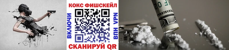 Купить где Муравленко COCAIN Эквадор