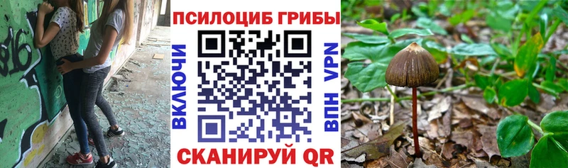 Купить  Муравленко  Псилоцибиновые грибы Magic Shrooms 